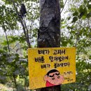 동화마을수목원 이미지