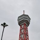일본 후쿠오카시(福岡市) 하카타 포트 타워(博多ポートタワー) 이미지