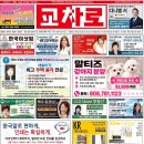 [ 하와이 교차로 :: 2026년 10월 24(토) ] 구인/구직, 벼룩시장, 부동산 렌트/매매, 룸메이트, 식당정보, 한인지역광고 이미지