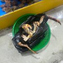 킹크랩대게한상 | 가락시장 킹크랩, 대게 소고기까지 초장집 &#34;해금강&#34; 아쉬웠던 솔직후기