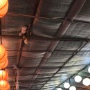 배나무집 | 서울 강동구 끝자락에서 만난 배나무집, ( 내돈내산 )