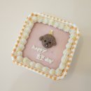 드루왕왕 이미지