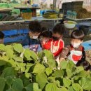 보리원농장 이미지