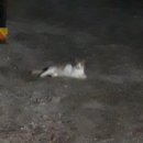 인천백학초등학교 이미지