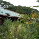 나무대문집 이미지