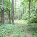 용추자연휴양림야영장 이미지