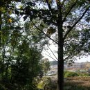 용정공원(상) 이미지