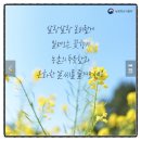 철쭉피는황매골마을 이미지