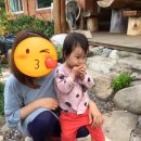 경남 사천 펜션 대가족 독채 웃담펜션 물놀이장개장