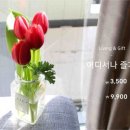 사가커피 이미지