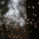 경산상대온천 이미지