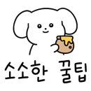 행복하개키울고양 네이버블로그