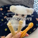 댕댕이연구소 | [디디랩 댕댕이연구소 가수분해 치석껌] 내돈내산 솔직후기