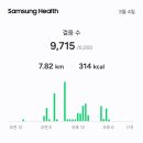 3월 4일 이미지
