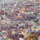 내산초등학교 이미지