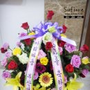 한승희 산부인과 의원 이미지