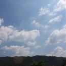 섬진강 레일바이크 이미지