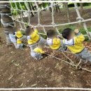 해피트리어린이집 이미지