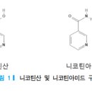 B3 이미지