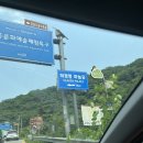참숯가마골랜드 | 주말 장흥 참숯가마 못 가서 가마골랜드 간 후기