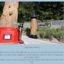 정선아리랑 조형물 | 부부, 연인이 함께 정선여행, 로미지안가든을 꼭 추천하는 이유