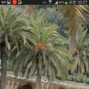 스페인 가우디의 성가족성당과 구엘공원 이미지