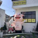 원문로 | 원주 단계동 돈까스 맛집｜간현돈까스 단계점 후기