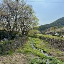 수리산도립공원임시주차장 이미지