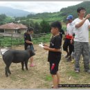 봉황의나라 고흥택견 전수관 이미지