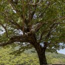 서당하우스 이미지