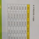 엘비타운