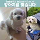 솔샘중학교 이미지