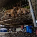 다니엘 농장 이미지