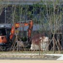 세종캠퍼스고등학교 이미지