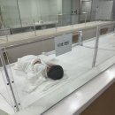 다올약국 | 원주 다올산후조리원 이용후기 2~3일차