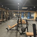 피트니스안 이미지