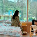 연이네민박 이미지