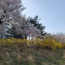 모산골 이미지