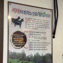 조치원건강식품 | 세종 몸보신 맛집🔥 국내산 흑염소전골 먹고 온 '봉서골' 후기