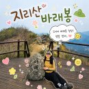 행우경로당 | 〔블랙야크 100대 명산〕 지리산 바래봉 최단코스 등산후기