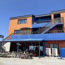 민경애견 이미지