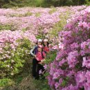 솔향약국 이미지