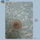 송현농장 | #요즘 바쁜가봐