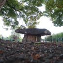 기획전시 삼인삼각 | 삼인삼색展 - 바람난 의사들의 사진전 2부, 김수용 선창규 임창준