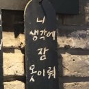 말뚝목장 | [제주 서귀포시] 말 보호센터 마레숲 / 제주도 여행 중 최고의 순간