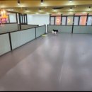 뽀미네 놀다올개 이미지