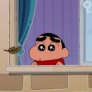 필리가 캠핑 이미지