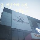 로제몽 | 성사동 애견카페 고양 애견카페 추천 로제몽 방문 후기