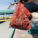 거차뻘배체험장 이미지