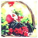 심중로68번길 | 부천포장이사 준비하며 고민했던 포장재 선택